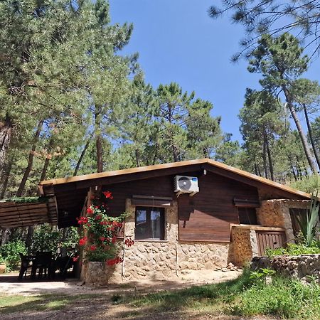 Cabana En Plena Naturaleza Parque Natural Rio Mundo Riopar Ngoại thất bức ảnh