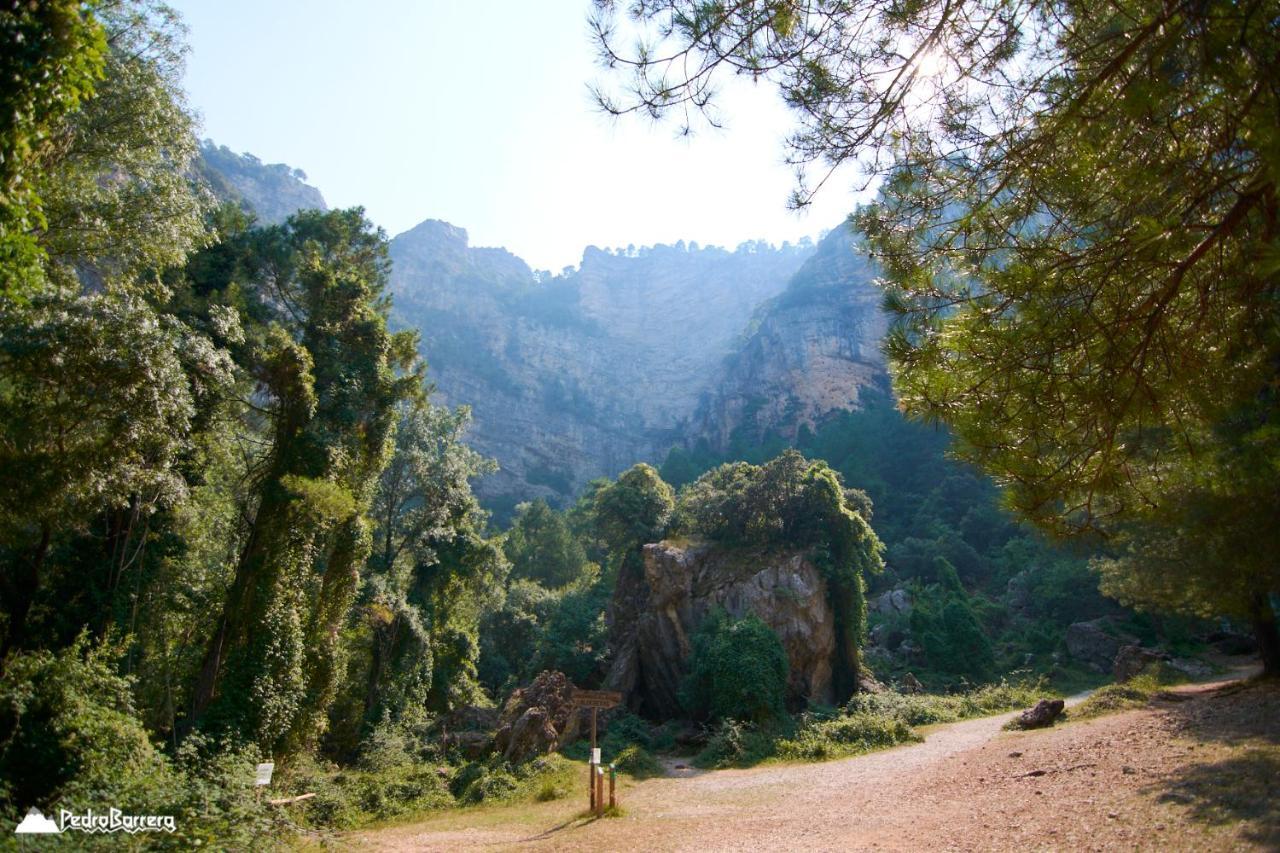 Cabana En Plena Naturaleza Parque Natural Rio Mundo Riopar Ngoại thất bức ảnh