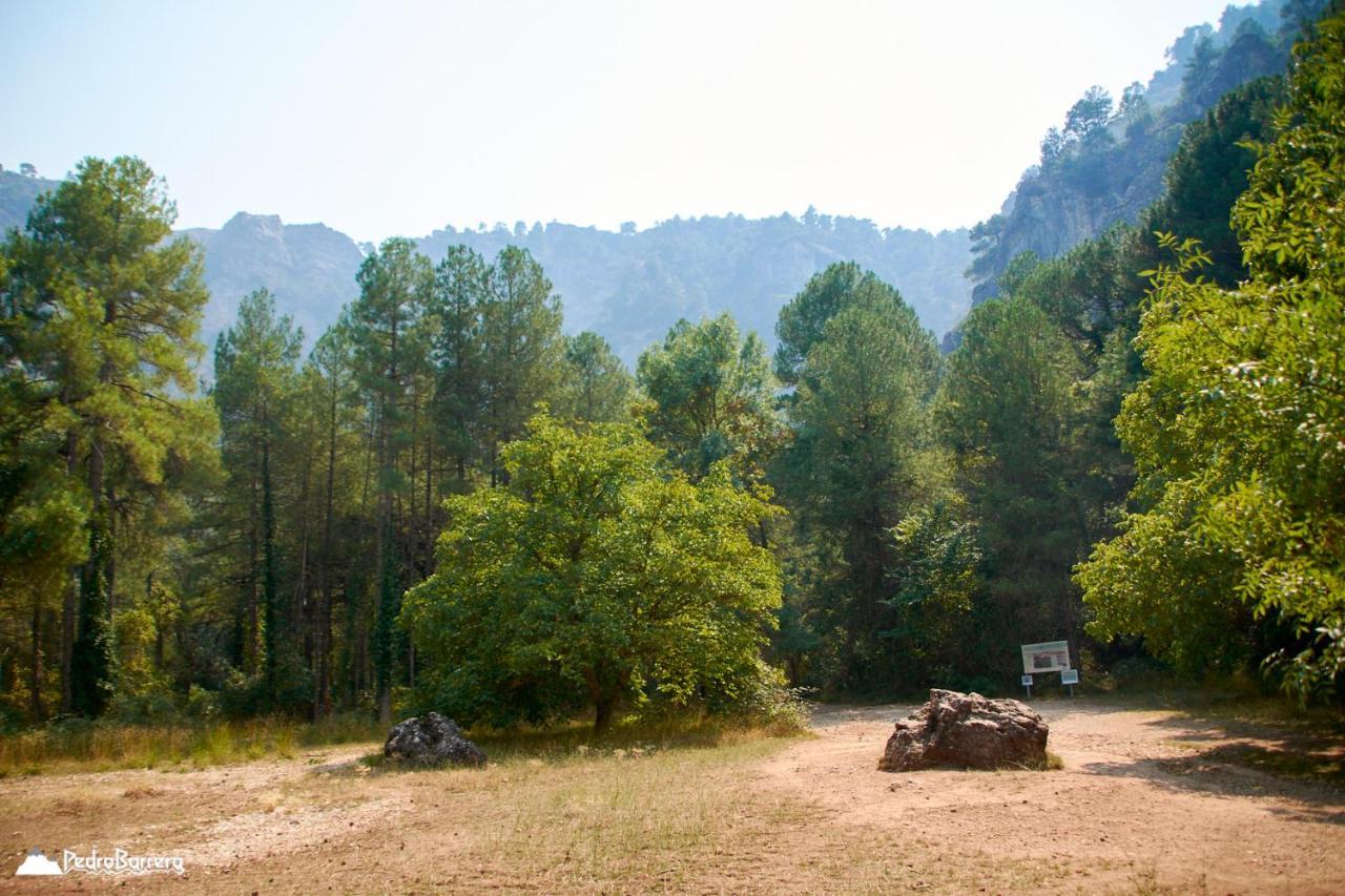 Cabana En Plena Naturaleza Parque Natural Rio Mundo Riopar Ngoại thất bức ảnh