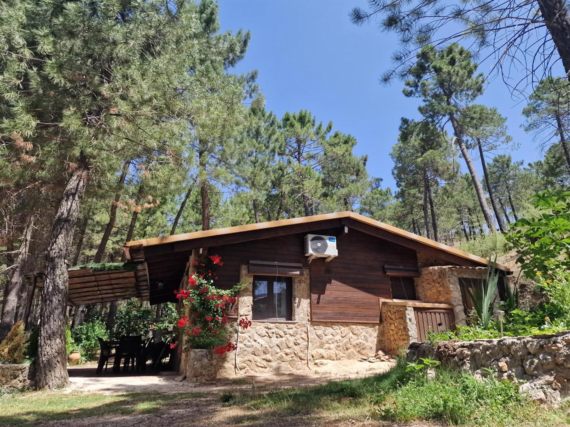 Cabana En Plena Naturaleza Parque Natural Rio Mundo Riopar Ngoại thất bức ảnh