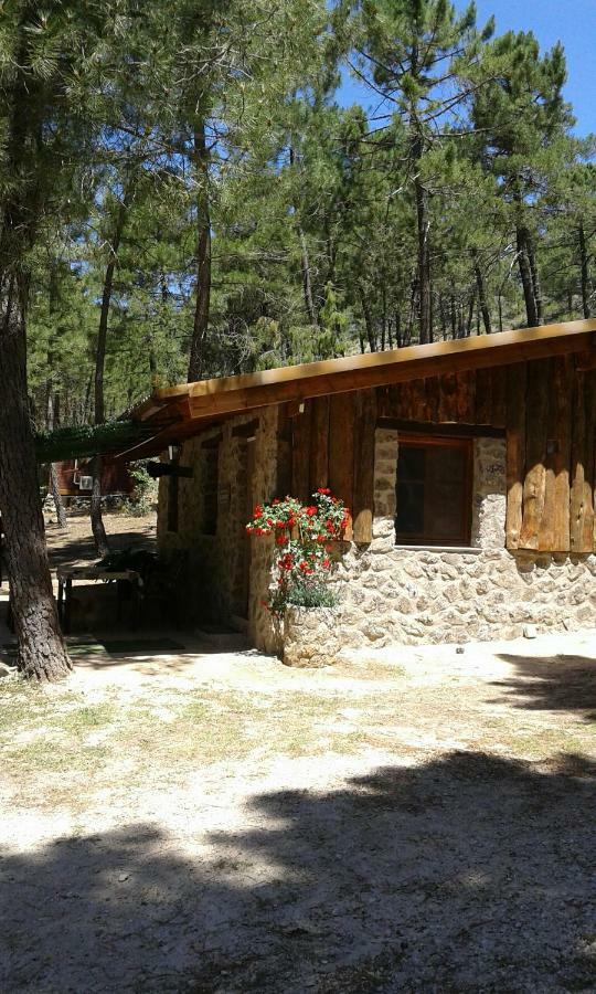 Cabana En Plena Naturaleza Parque Natural Rio Mundo Riopar Ngoại thất bức ảnh