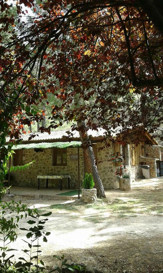Cabana En Plena Naturaleza Parque Natural Rio Mundo Riopar Ngoại thất bức ảnh