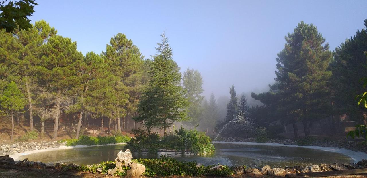 Cabana En Plena Naturaleza Parque Natural Rio Mundo Riopar Ngoại thất bức ảnh