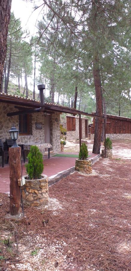 Cabana En Plena Naturaleza Parque Natural Rio Mundo Riopar Ngoại thất bức ảnh