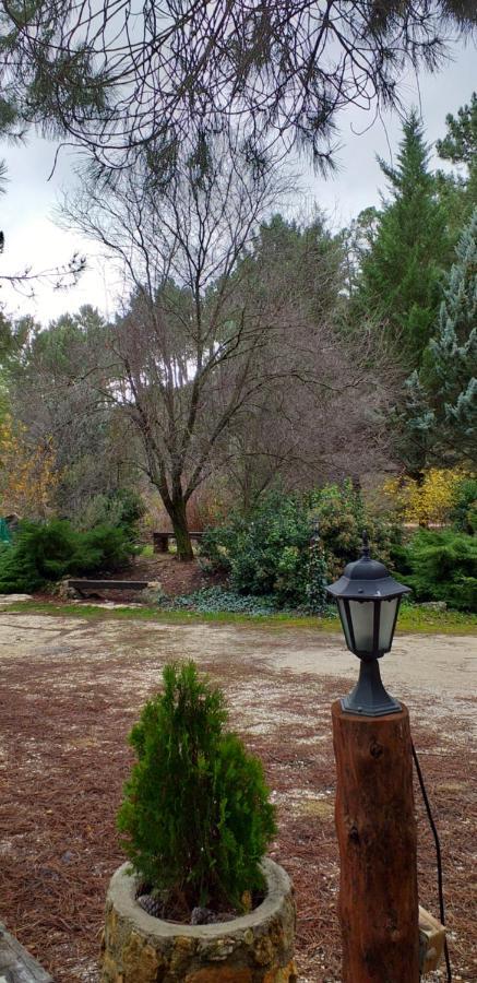 Cabana En Plena Naturaleza Parque Natural Rio Mundo Riopar Ngoại thất bức ảnh